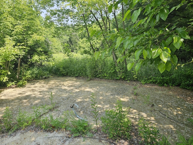 18080 Calvin Hill St, Cassopolis, MI 49031
