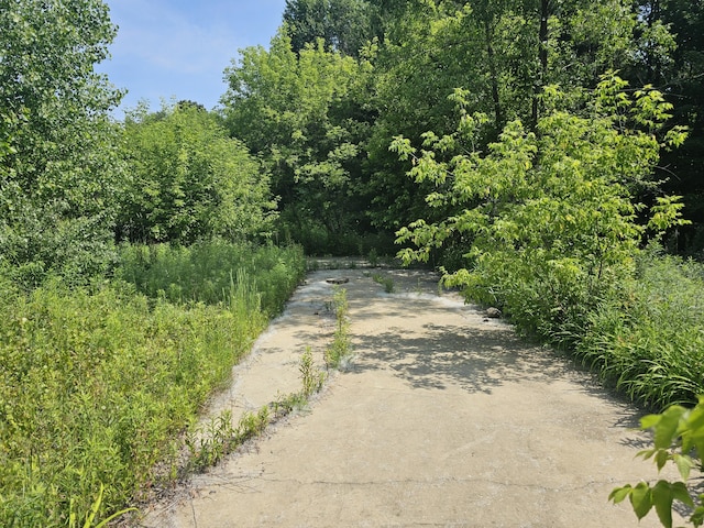 18080 Calvin Hill St, Cassopolis, MI 49031