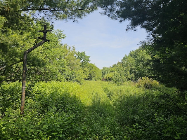 18080 Calvin Hill St, Cassopolis, MI 49031