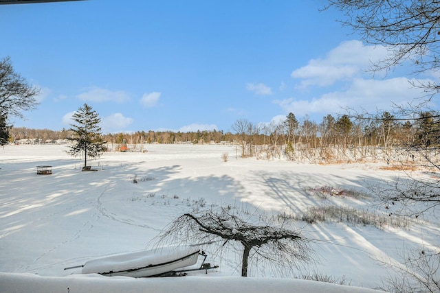 view of yard layered in snow