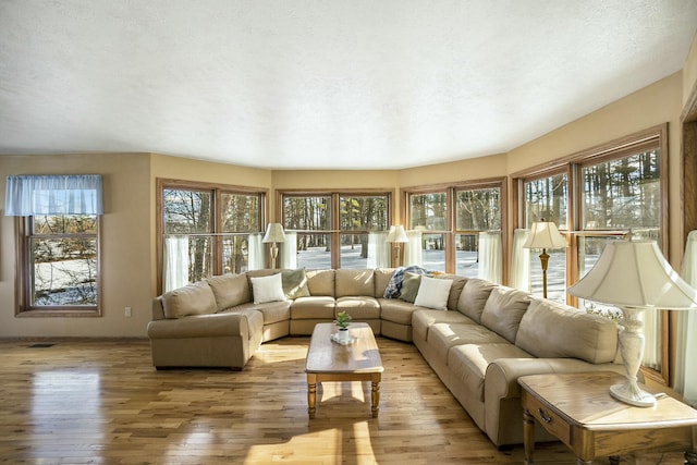 living area with light wood-type flooring, baseboards, and a textured ceiling