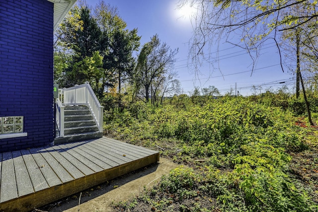 view of yard with a wooden deck and stairs