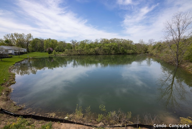 6625 Shoreside Ct SE, Grand Rapids, MI 49548 - water view with a heavily wooded area