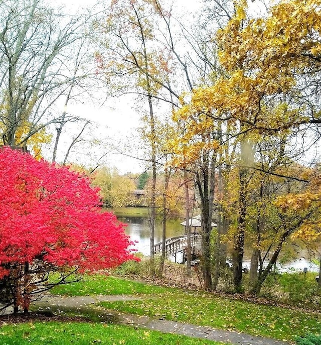 view of home's community featuring a yard and a water view