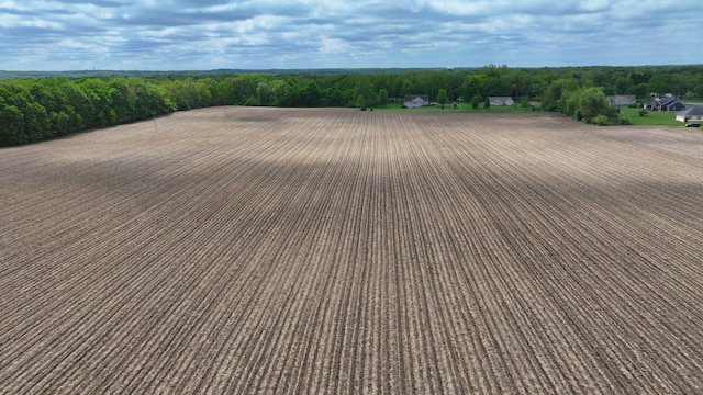 V/L 36th St N, Galesburg, MI 49053 - photo 14