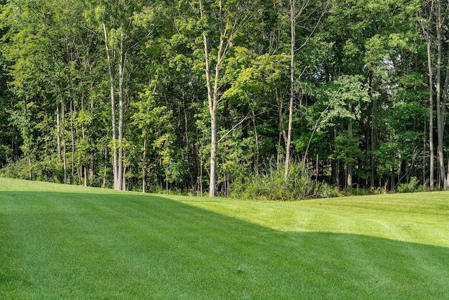 view of yard with a view of trees