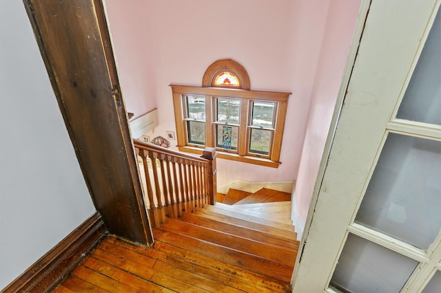 stairs featuring hardwood / wood-style flooring