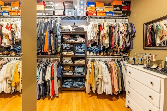 7016 Hyde Park Rd, Whitehall, MI 49461 - spacious closet with wood finished floors