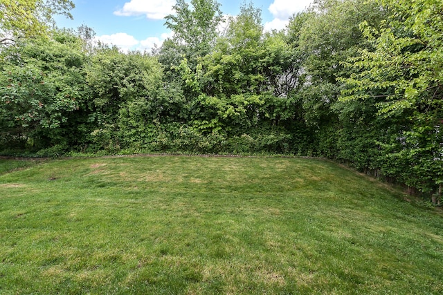 3048 Turnberry Ln, Ann Arbor, MI 48108 - view of green lawn
