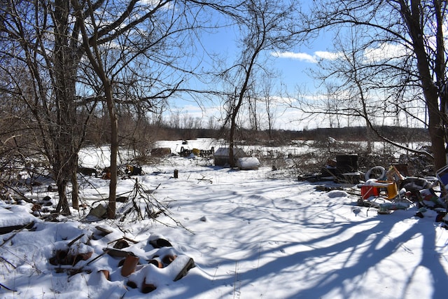 11333 Stony Creek Rd, Milan, MI 48160 - view of snowy yard