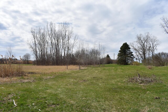 11333 Stony Creek Rd, Milan, MI 48160 - view of yard featuring a rural view