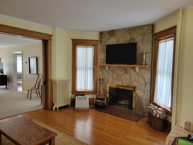 living room with crown molding, a stone fireplace, radiator heating unit, and wood finished floors