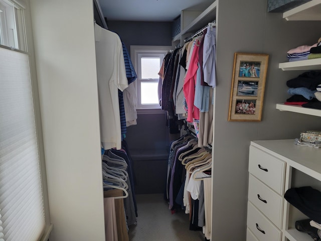 view of spacious closet