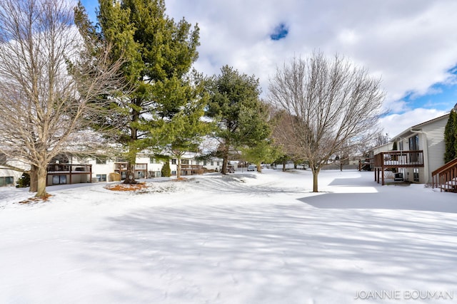 view of yard covered in snow