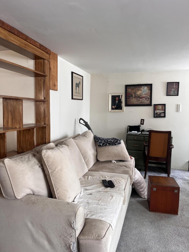 living area with dark colored carpet