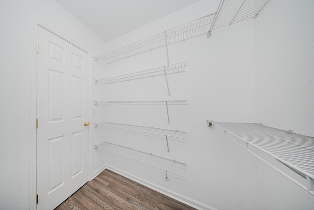 spacious closet with dark wood finished floors