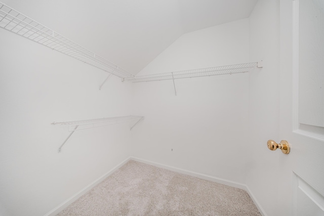 spacious closet with carpet floors and vaulted ceiling