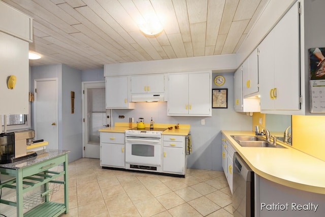 kitchen with light countertops, electric range, a sink, dishwasher, and under cabinet range hood