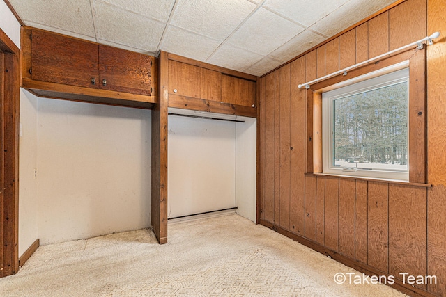 interior space with wood walls