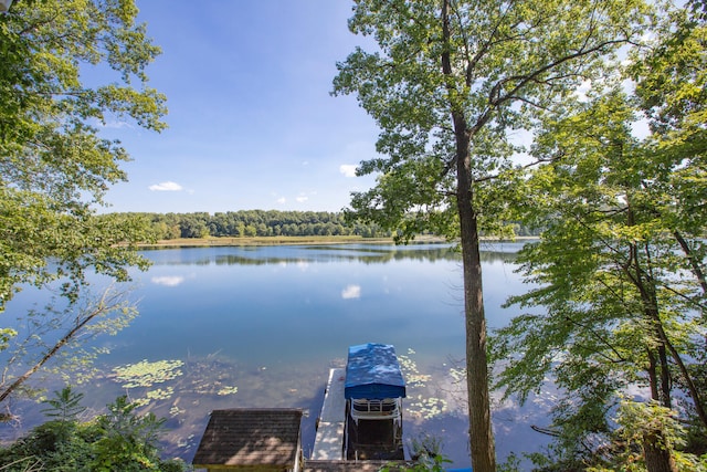 view of dock featuring a water view and a view of trees