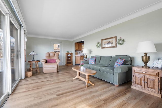living area with crown molding and light wood-style flooring