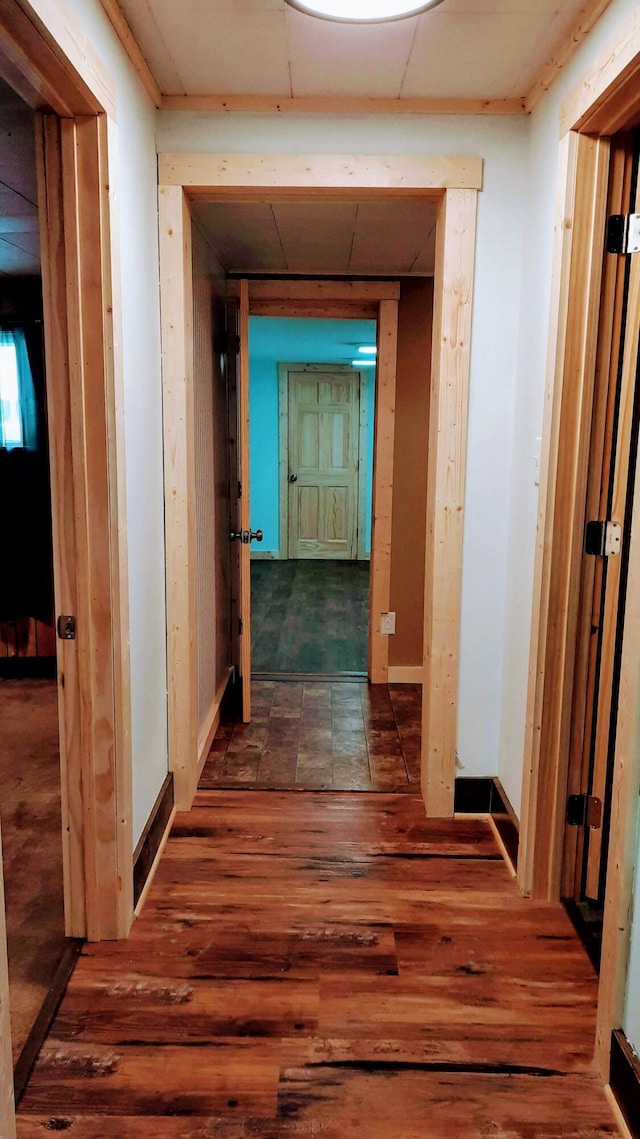 corridor with a paneled ceiling and wood finished floors