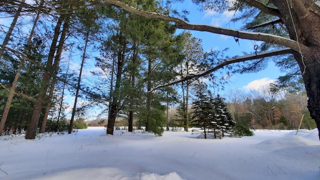 view of yard covered in snow