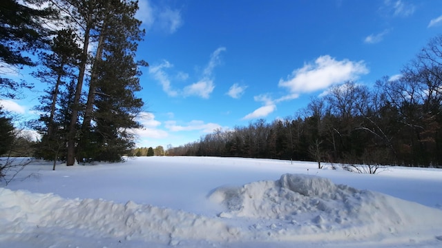 snowy yard featuring a view of trees