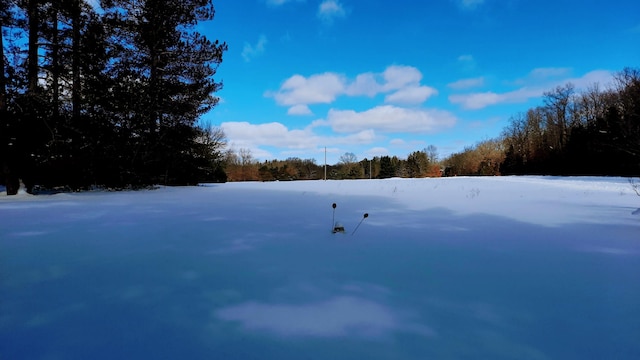 snowy yard with a forest view