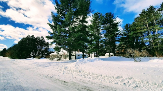 view of yard covered in snow