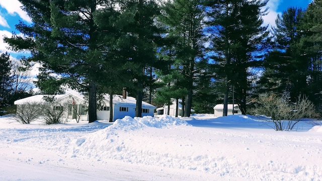 view of yard covered in snow