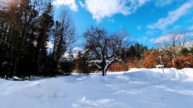 view of snowy yard