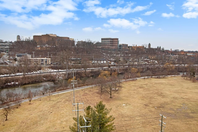 view of yard featuring a city view