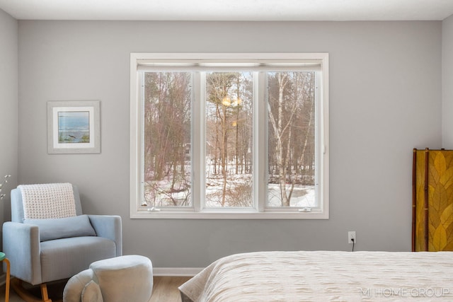 bedroom featuring wood finished floors and baseboards