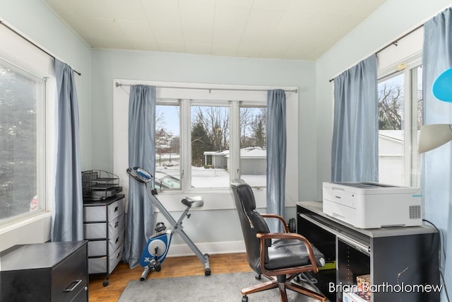 home office featuring wood finished floors