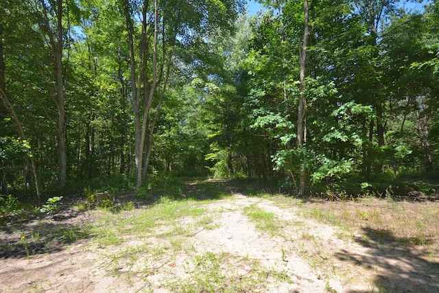 52251 17th Ave, Grand Junction, MI 49056