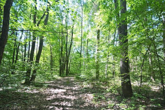 52251 17th Ave, Grand Junction, MI 49056