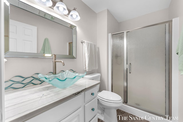 full bathroom featuring toilet, a shower stall, and vanity