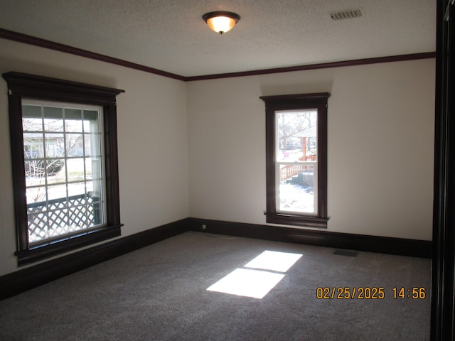 carpeted empty room with visible vents, a textured ceiling, ornamental molding, and a wealth of natural light