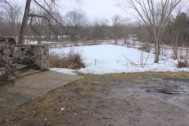 view of yard layered in snow