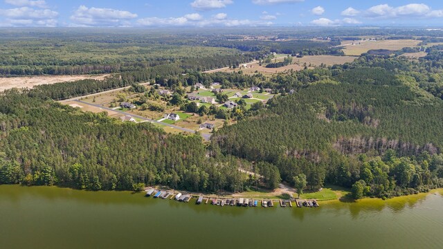 21889 Hilltop Cir, Stanwood, MI 49346 - aerial view of property's location featuring a heavily wooded area and a nearby body of water