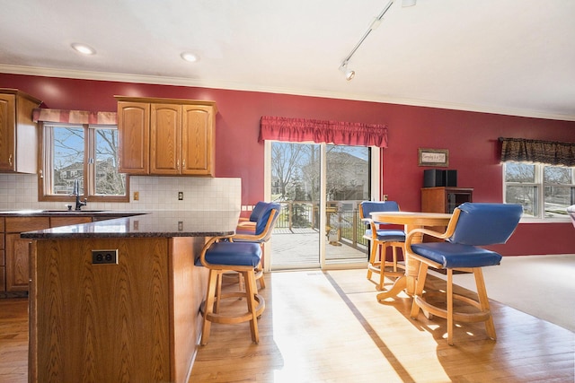 kitchen with a healthy amount of sunlight, brown cabinetry, and a sink