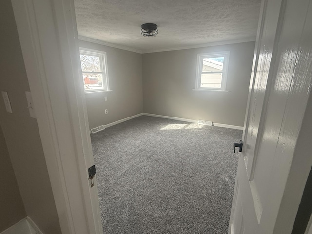 carpeted spare room featuring a textured ceiling, ornamental molding, baseboards, and a healthy amount of sunlight