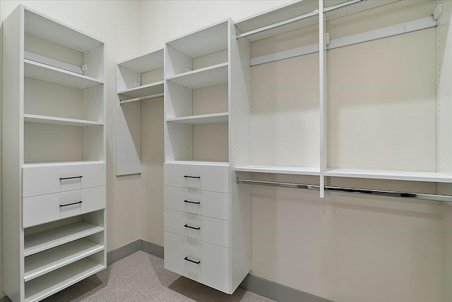 view of walk in closet