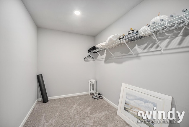 spacious closet with carpet flooring