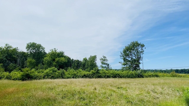 Kruger Rd, Three Oaks MI, 49128 land for sale