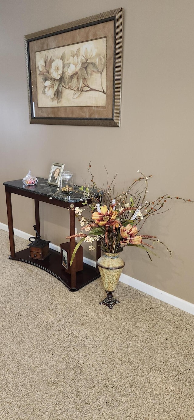 room details featuring carpet floors and baseboards