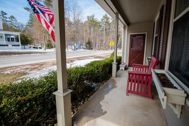 view of patio / terrace with a porch