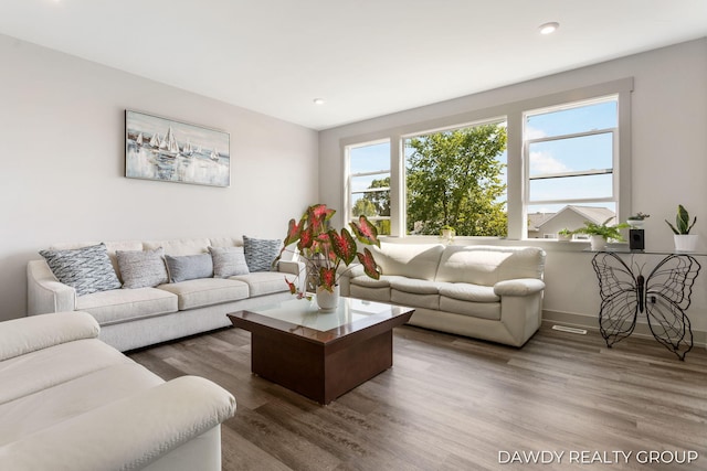 living room featuring baseboards, wood finished floors, and recessed lighting