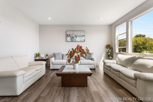 living room with recessed lighting and wood finished floors